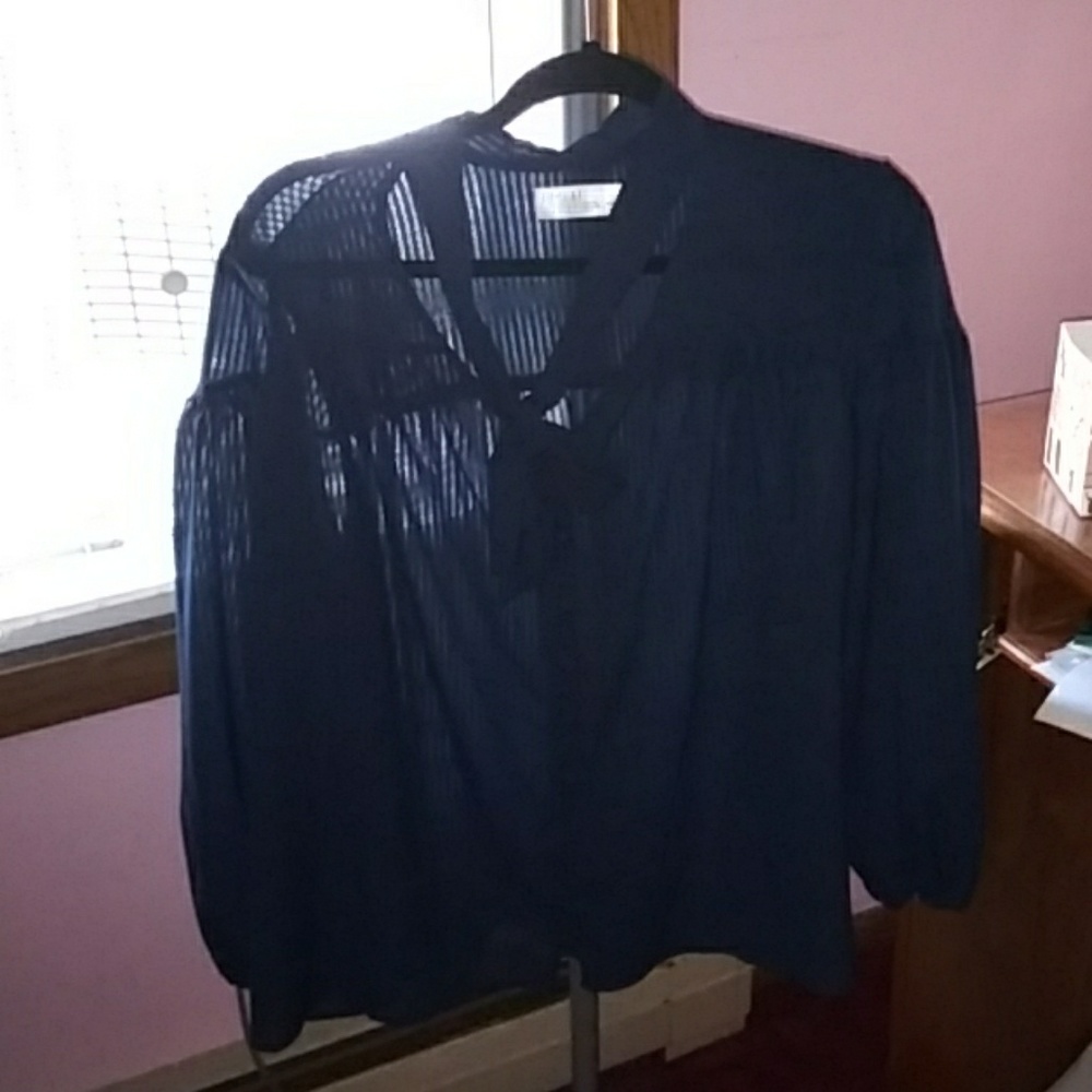 Navy blue sheer top